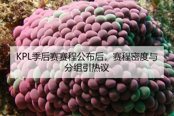 ji-hou-sai-sai-cheng-gong-bu-hou-sai-cheng-mi-du-yu-fen-zu-yin-re-yi-2-797.jpg