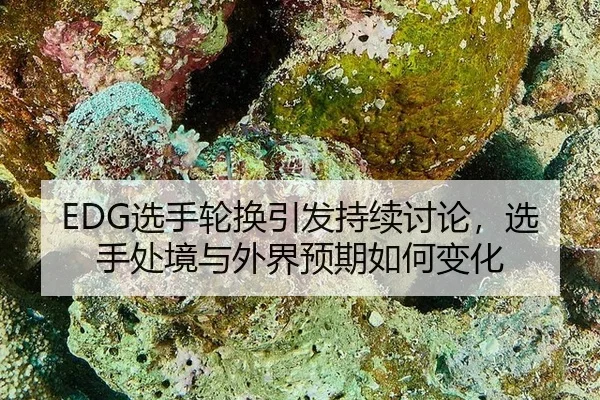 EDG选手轮换引发持续讨论，选手处境与外界预期如何变化